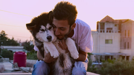 ドッグ ストーリー あなたは一番の友達 Netflix ネ ッ ト フ リ ッ ク ス 公 式サ イ ト